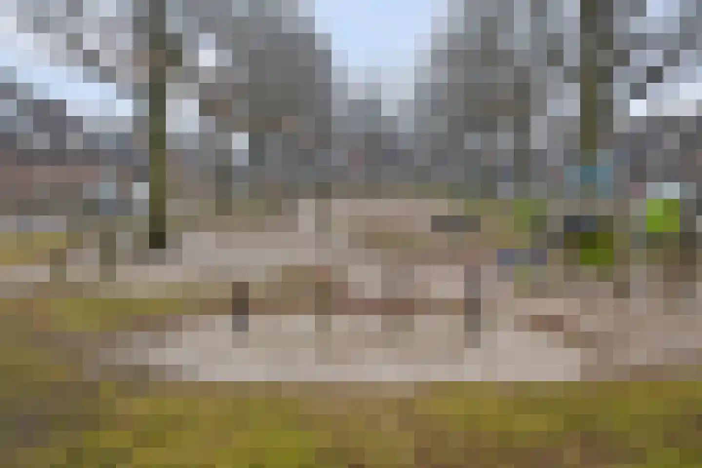 Doornbos 23 Reusel thumbnail 49