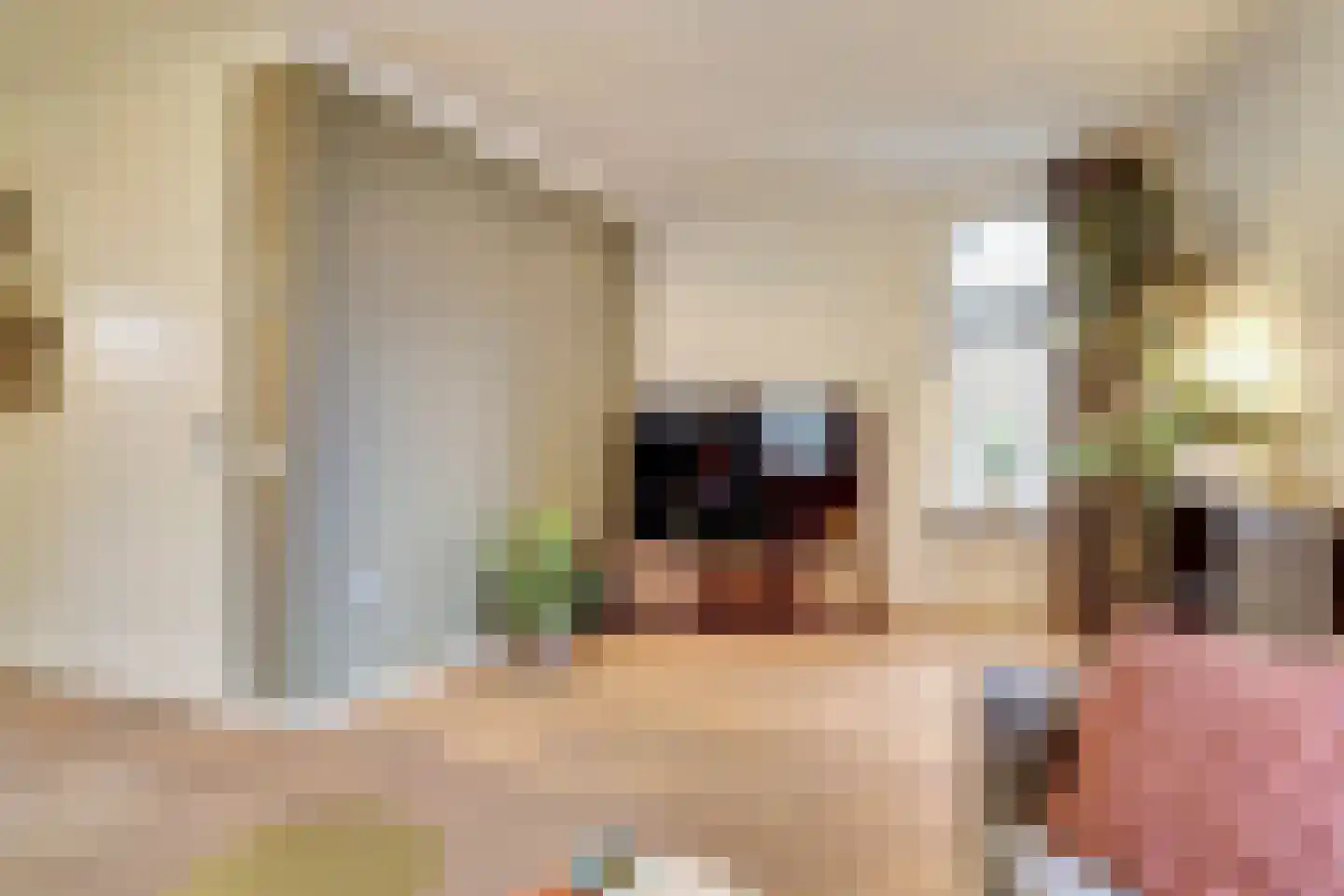 Doornbos 23 Reusel thumbnail 9