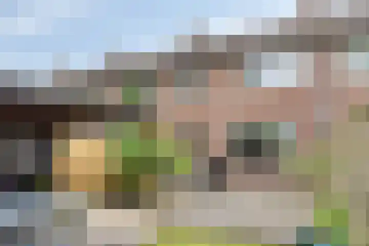 Doornbos 35 Rijen thumbnail 14