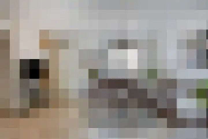 Doornbos 35 Rijen thumbnail 18