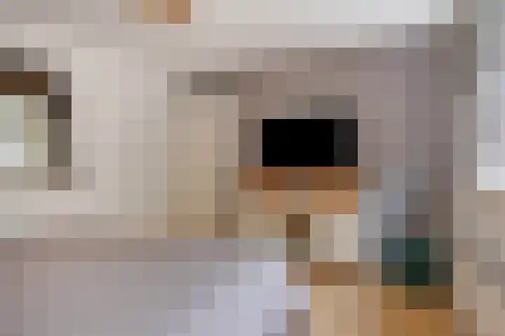 Doornbos 35 Rijen thumbnail 20