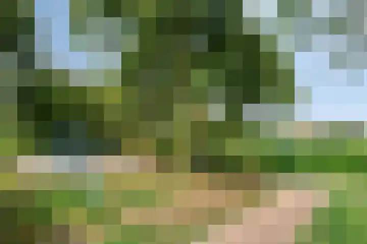 Doornbos 35 Rijen thumbnail 28