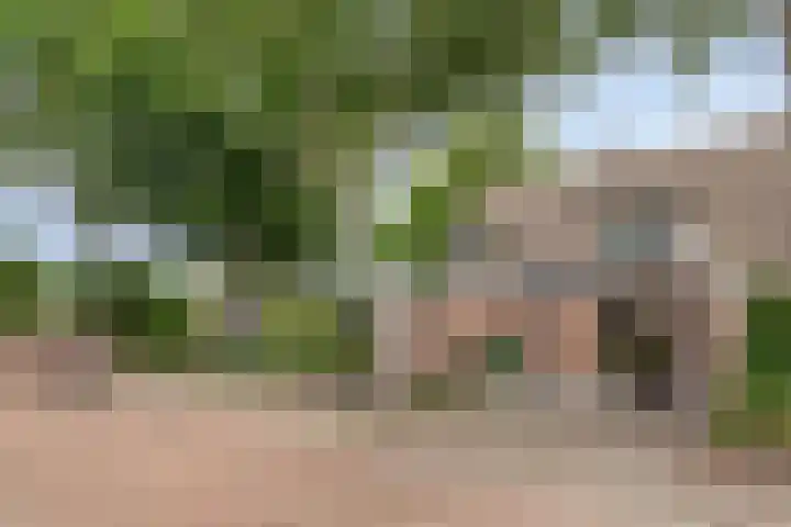 Doornbos 35 Rijen thumbnail 29