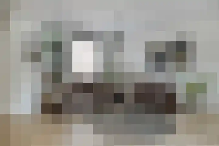 Doornbos 35 Rijen thumbnail 4