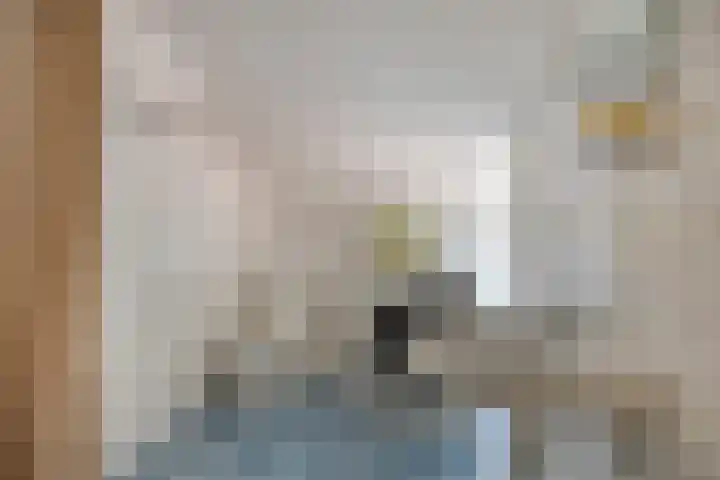 Doornbos 35 Rijen thumbnail 8