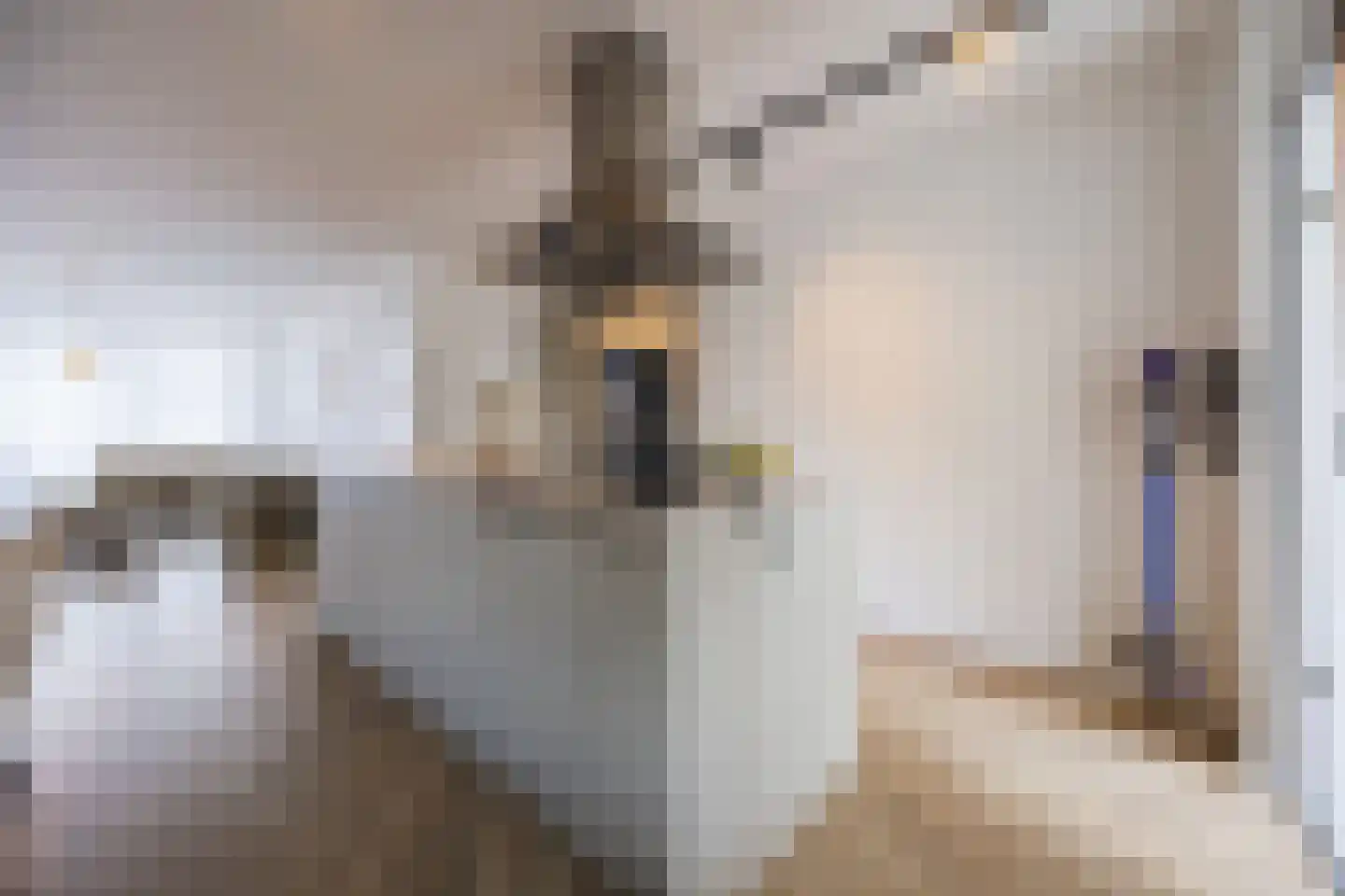 Doornbos 54 Rijen thumbnail 12