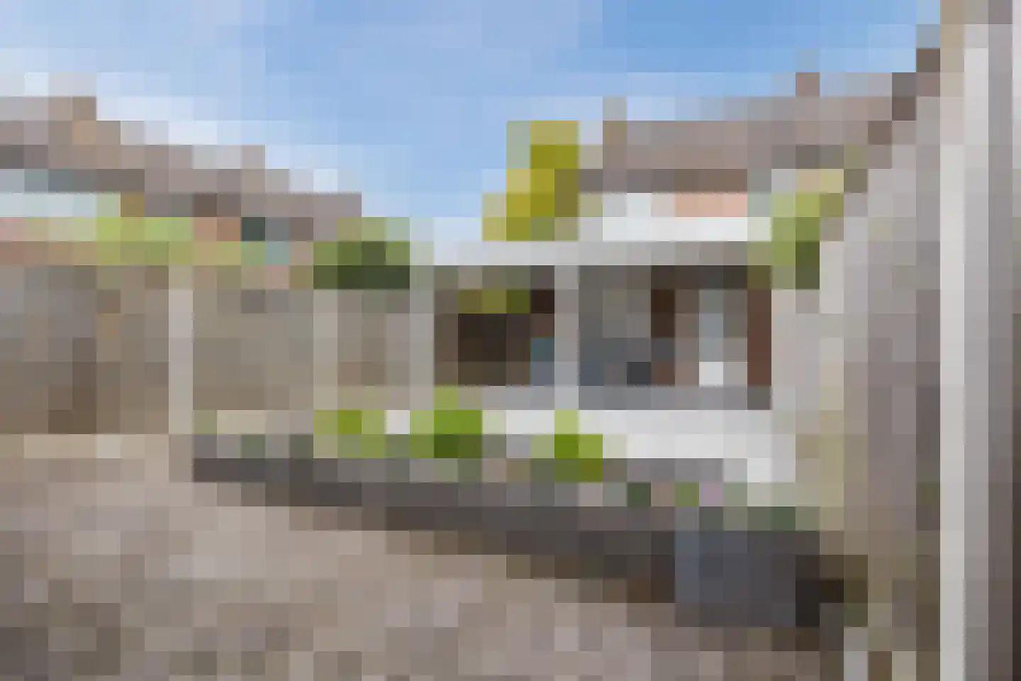 Doornbos 54 Rijen thumbnail 17