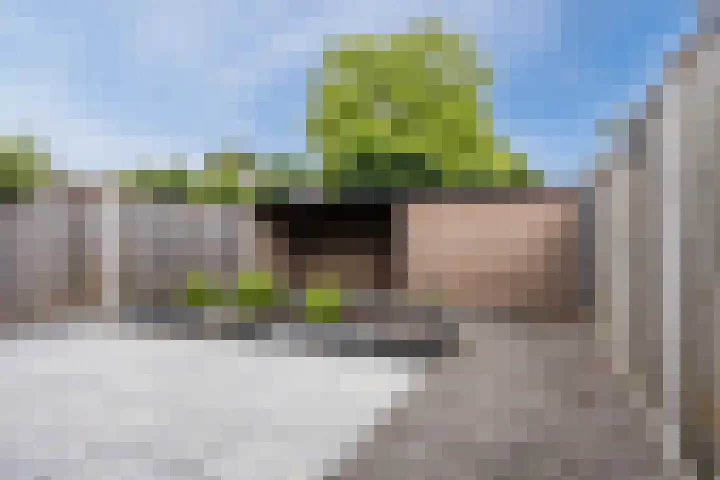 Doornbos 54 Rijen thumbnail 18