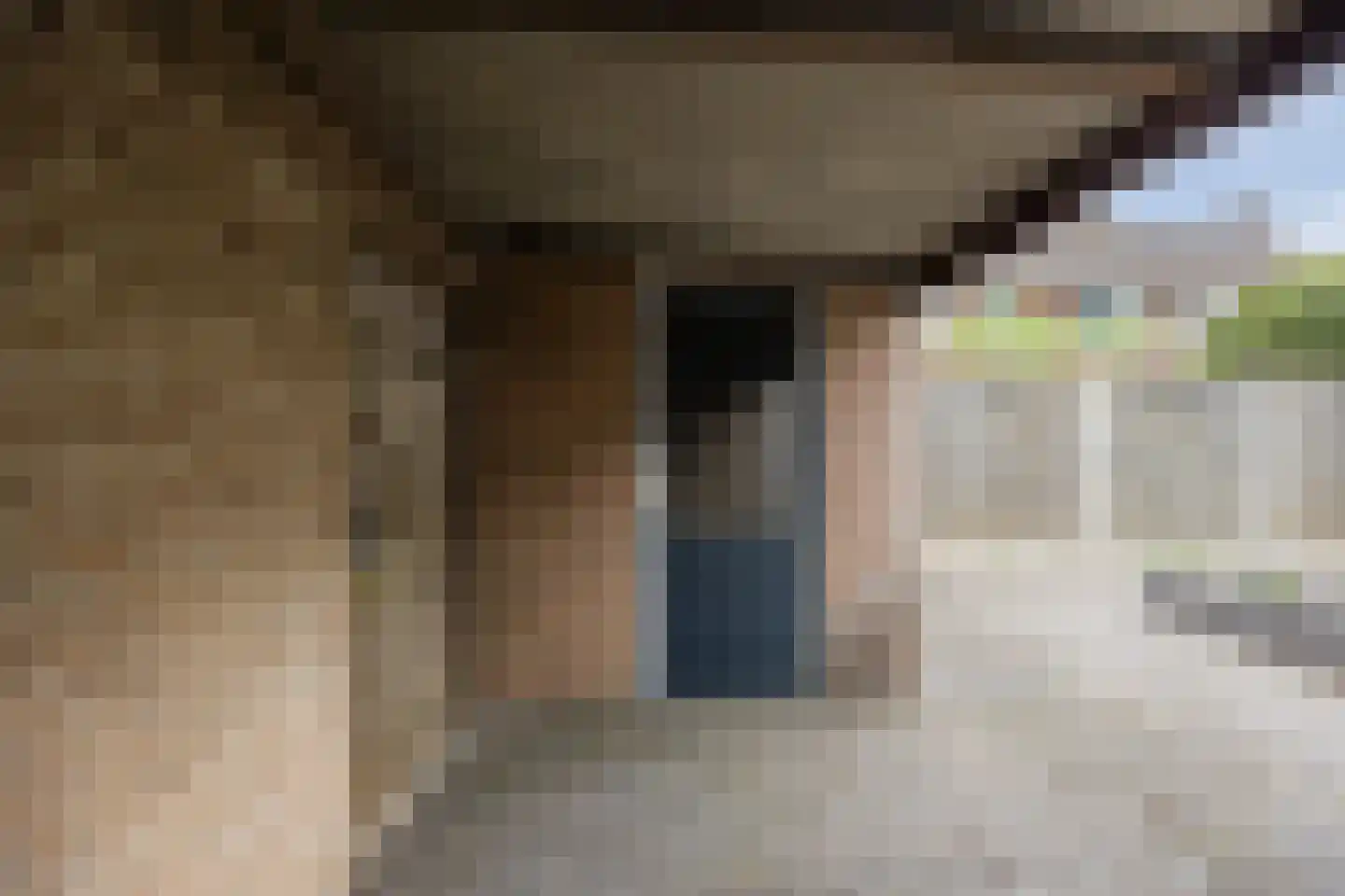 Doornbos 54 Rijen thumbnail 19
