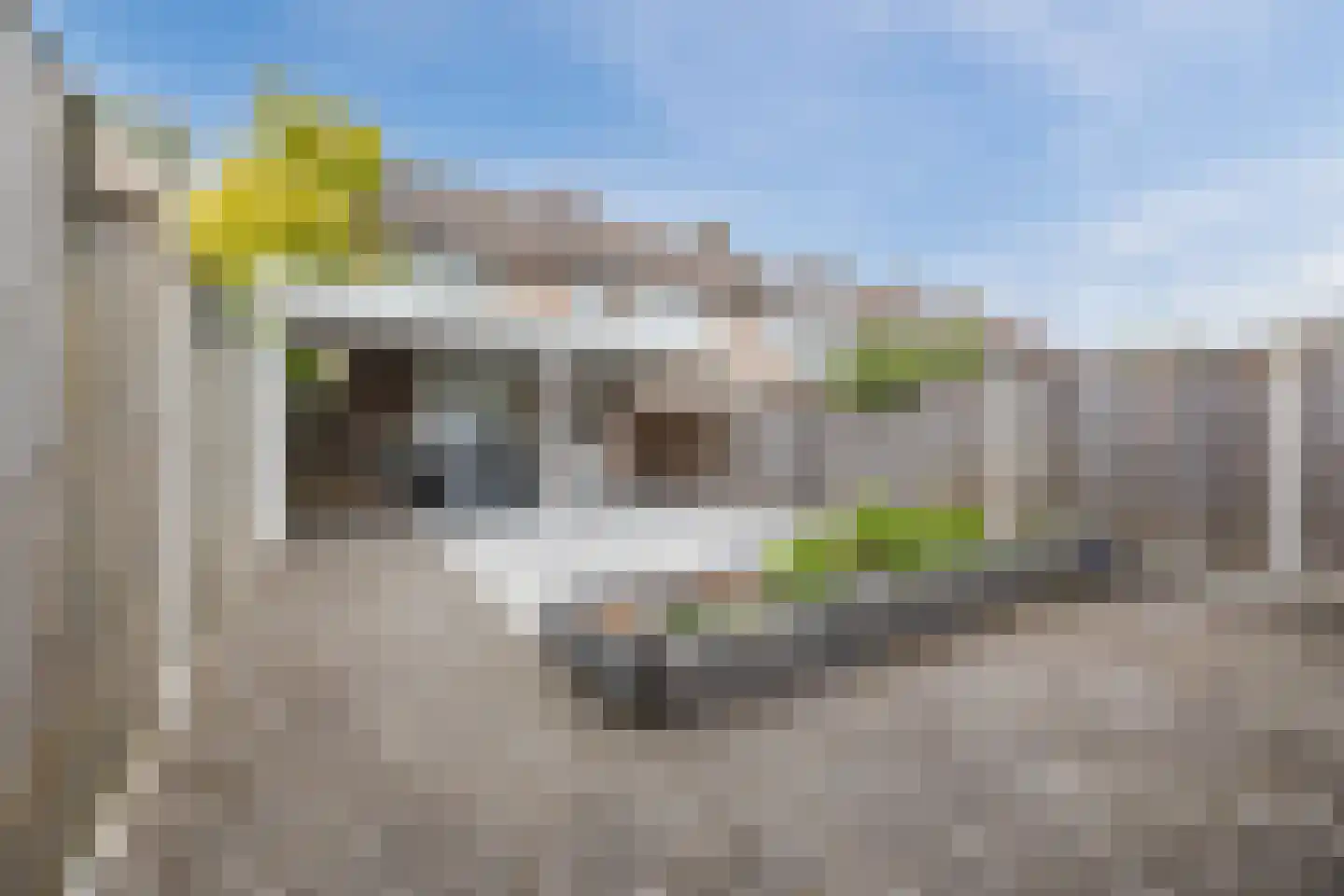Doornbos 54 Rijen thumbnail 20