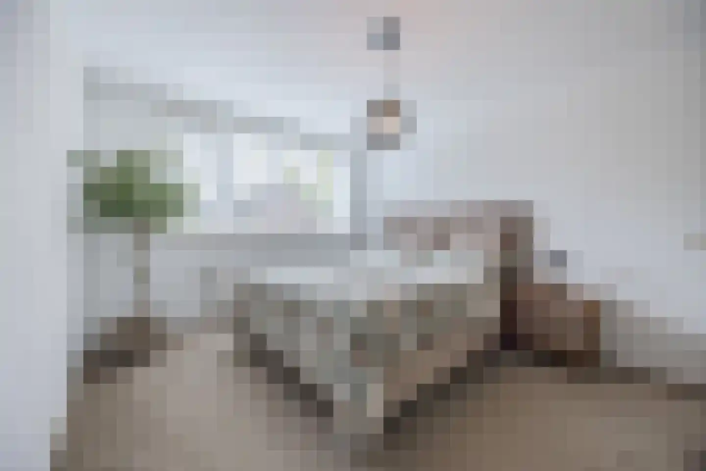 Doornbos 54 Rijen thumbnail 26