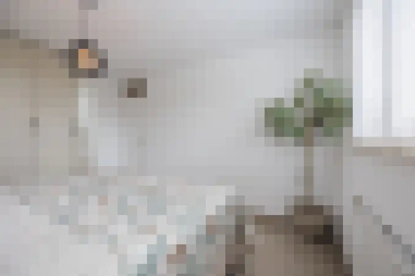 Doornbos 54 Rijen thumbnail 28