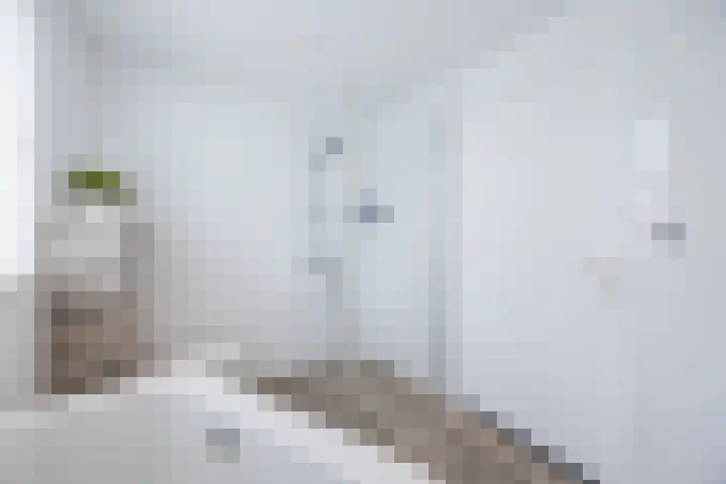 Doornbos 54 Rijen thumbnail 37