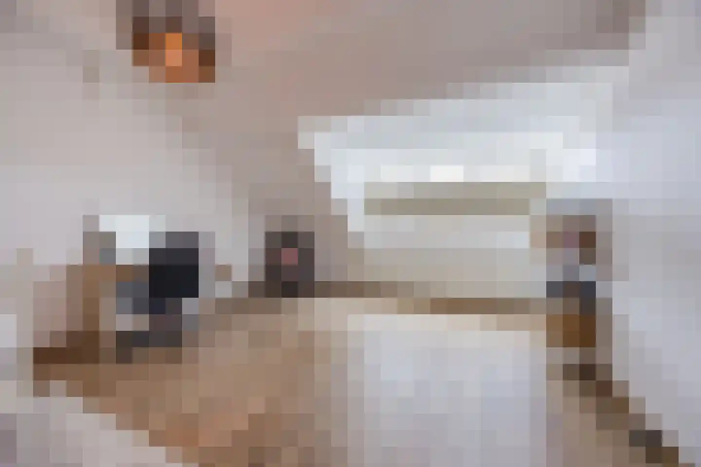 Doornbos 54 Rijen thumbnail 44