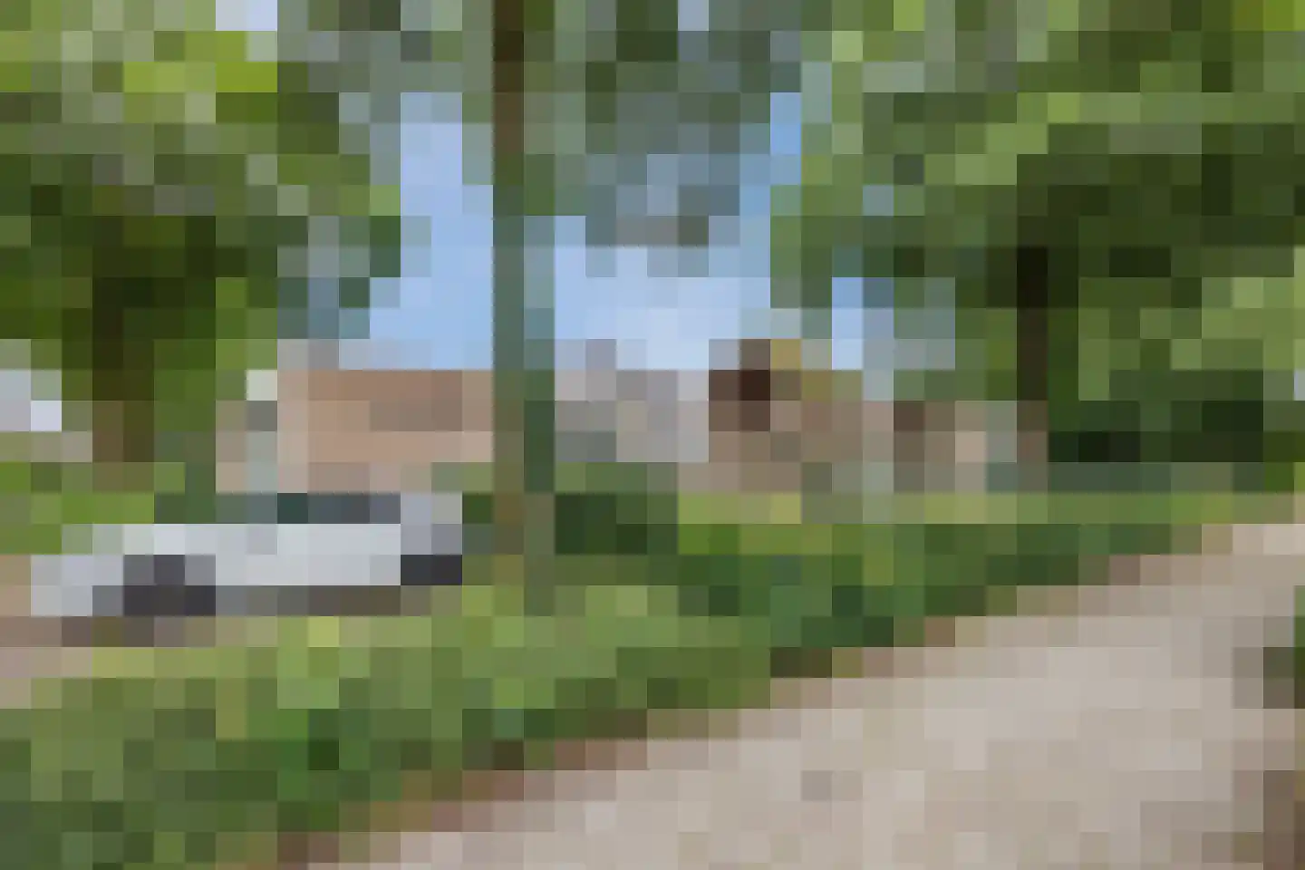 Doornbos 54 Rijen thumbnail 48