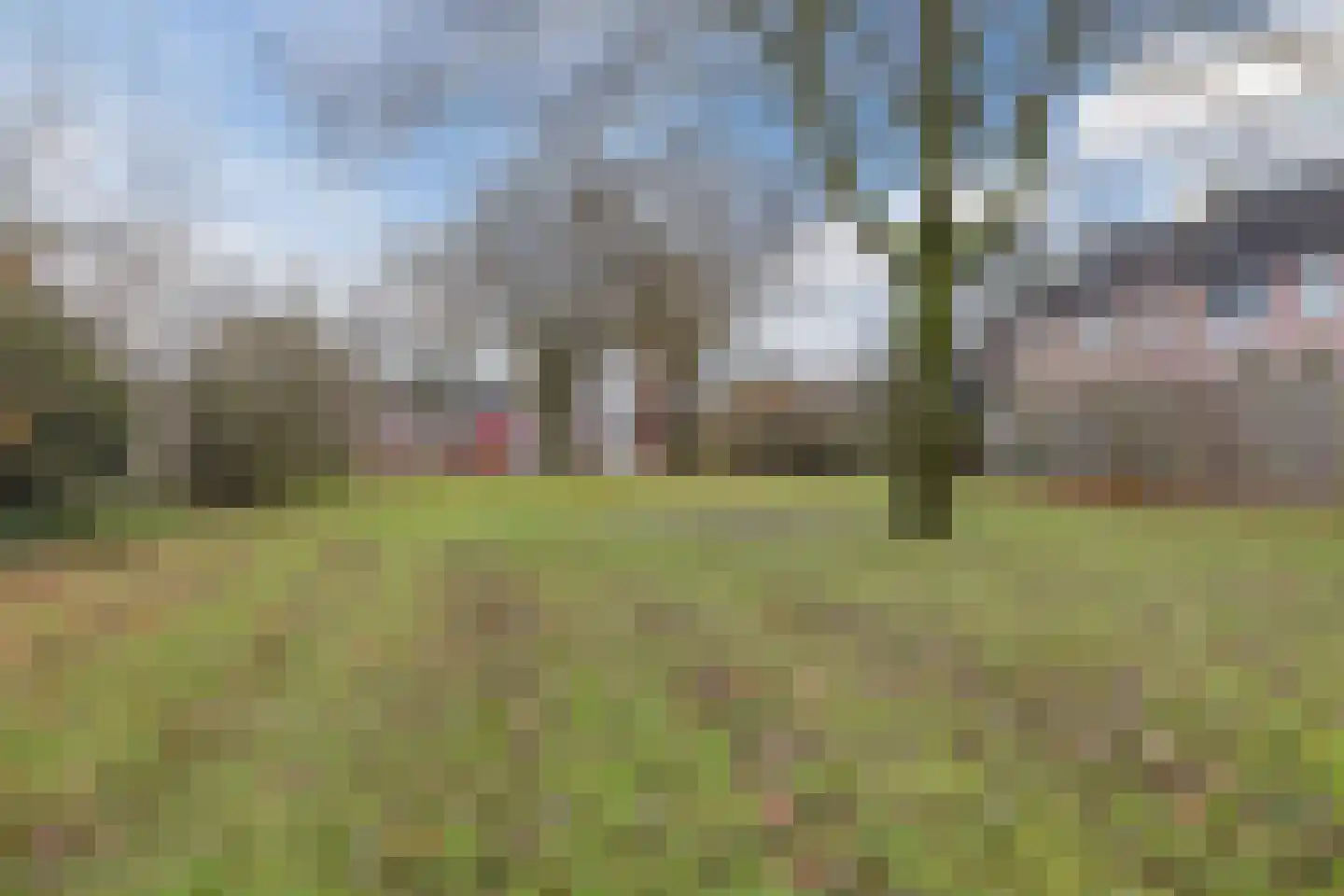 Doornbos 54 Rijen thumbnail 49