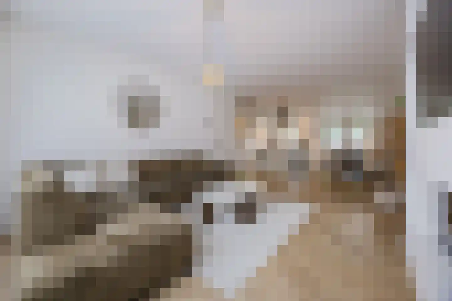 Doornbos 54 Rijen thumbnail 6