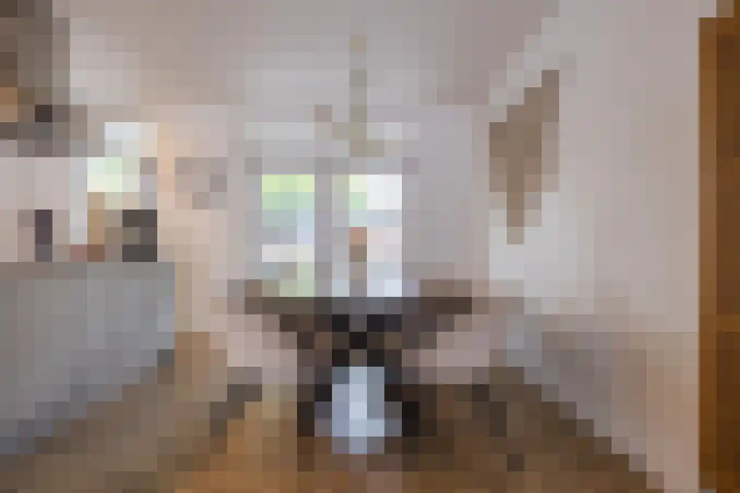 Doornbos 54 Rijen thumbnail 7