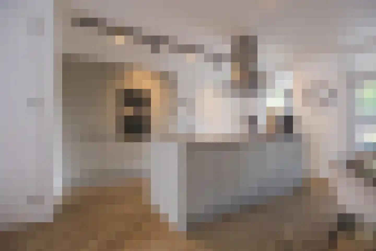 Doornbos 54 Rijen thumbnail 9