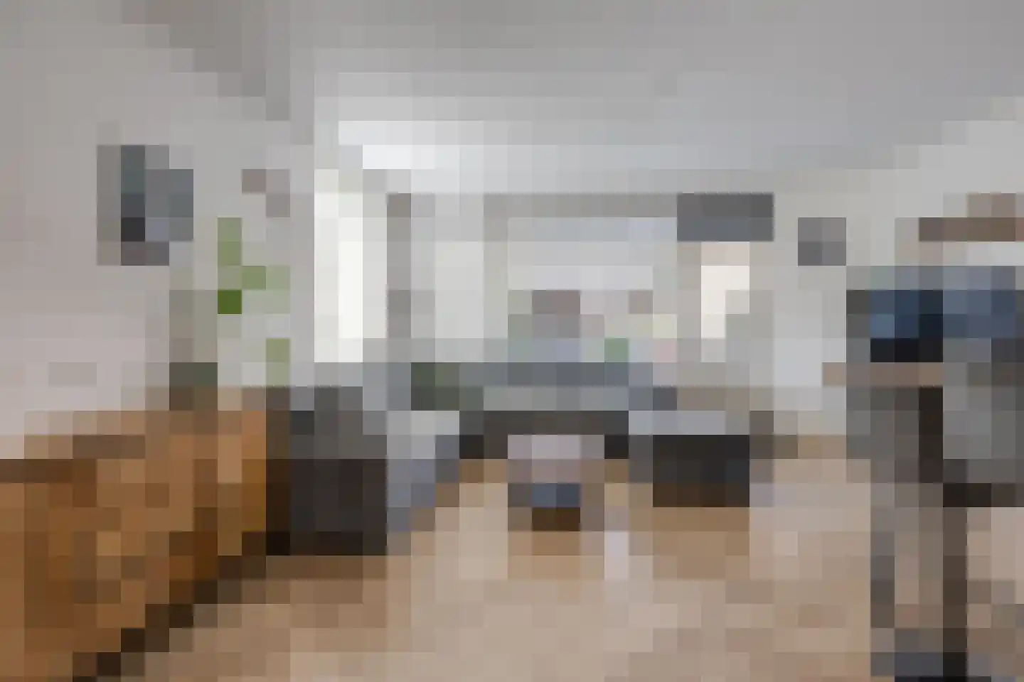 Doornbos 63 Rijen thumbnail 11