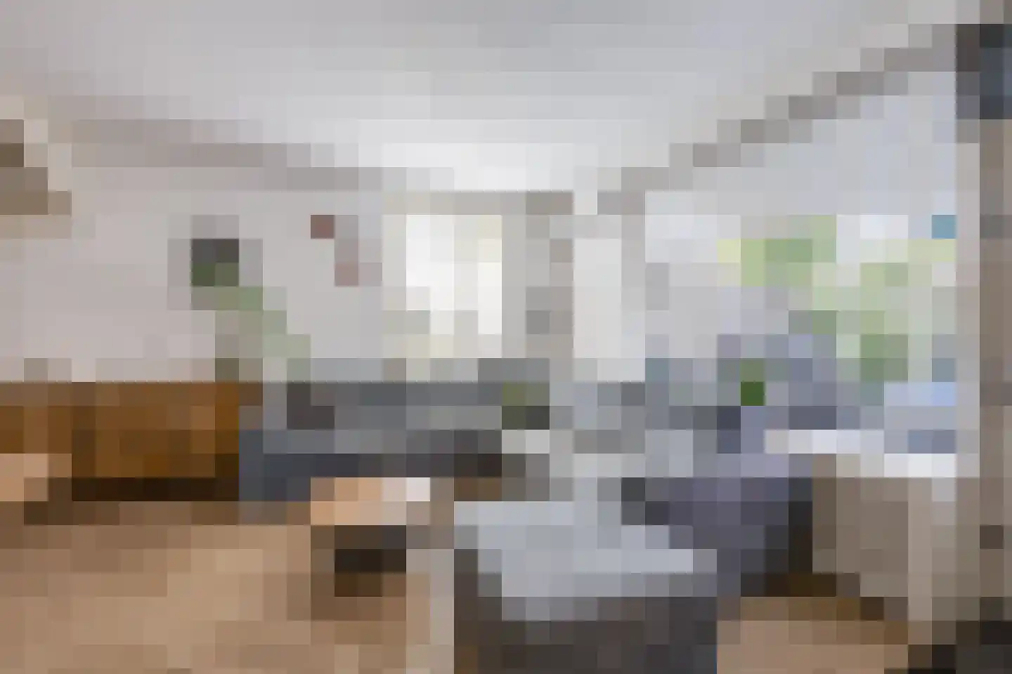 Doornbos 63 Rijen thumbnail 12
