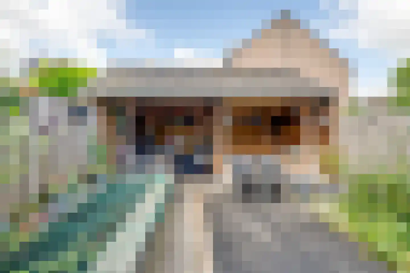 Doornbos 63 Rijen thumbnail 22