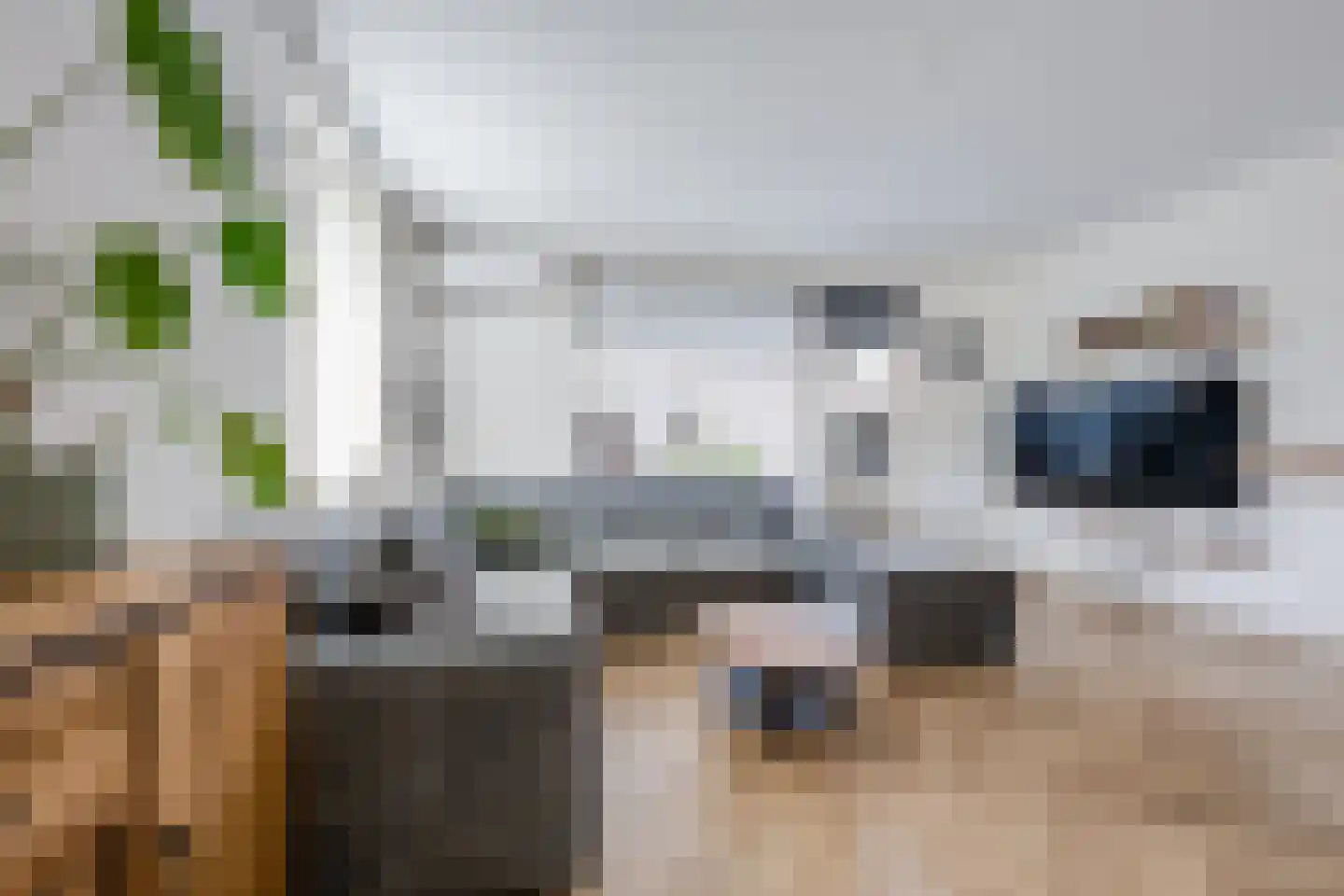 Doornbos 63 Rijen thumbnail 4