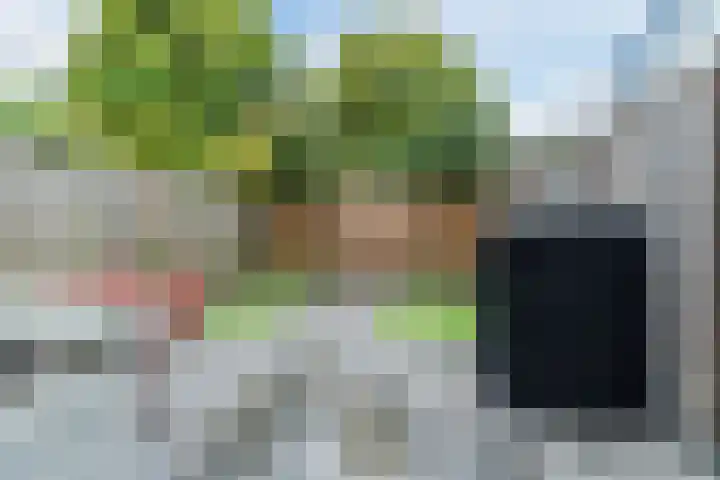 Doornbos 76 Rijen thumbnail 15