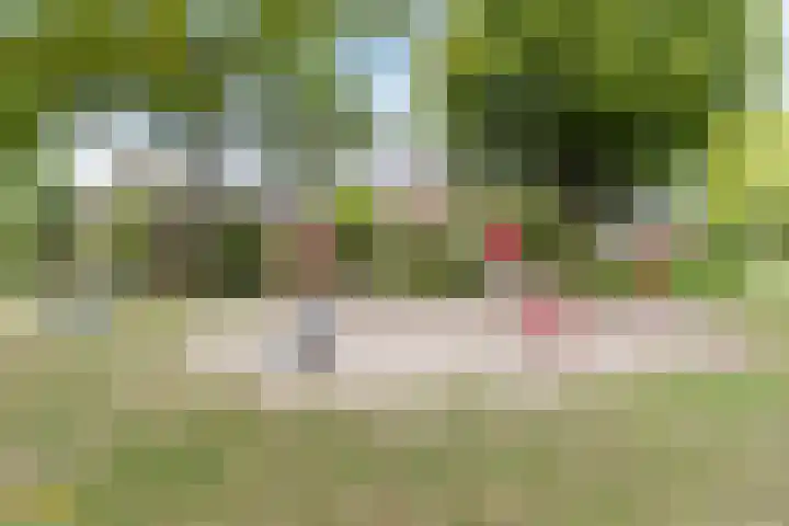 Doornbos 76 Rijen thumbnail 34