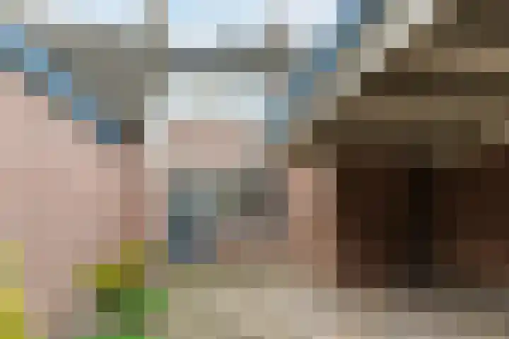 Doornbos 76 Rijen thumbnail 5