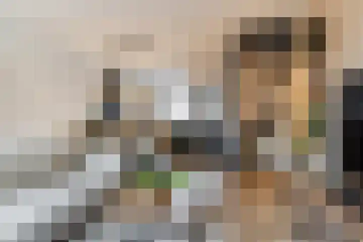 Doornbos 76 Rijen thumbnail 9