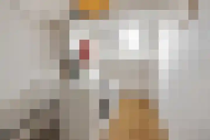 Doornbos 77 Rijen thumbnail 20