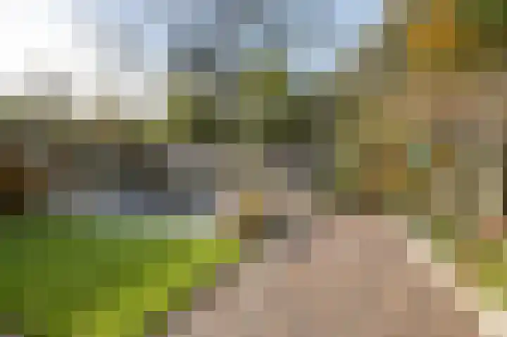 Doornbos 77 Rijen thumbnail 22