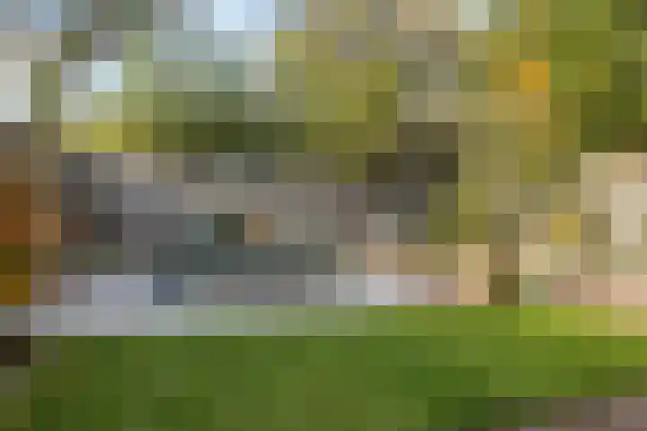 Doornbos 77 Rijen thumbnail 23