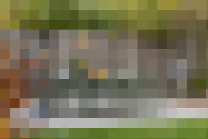 Doornbos 77 Rijen thumbnail 24