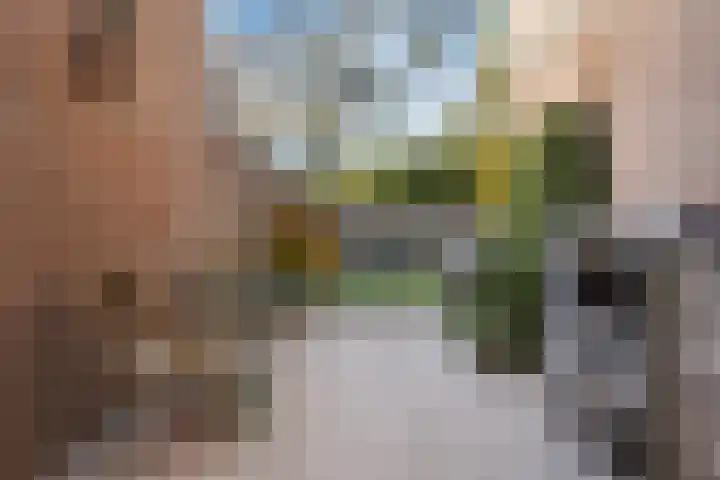 Doornbos 77 Rijen thumbnail 26