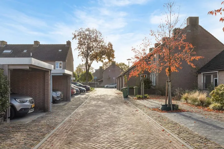 Doornbos 77 Rijen thumbnail 27