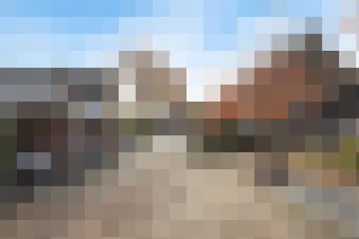 Doornbos 77 Rijen thumbnail 27