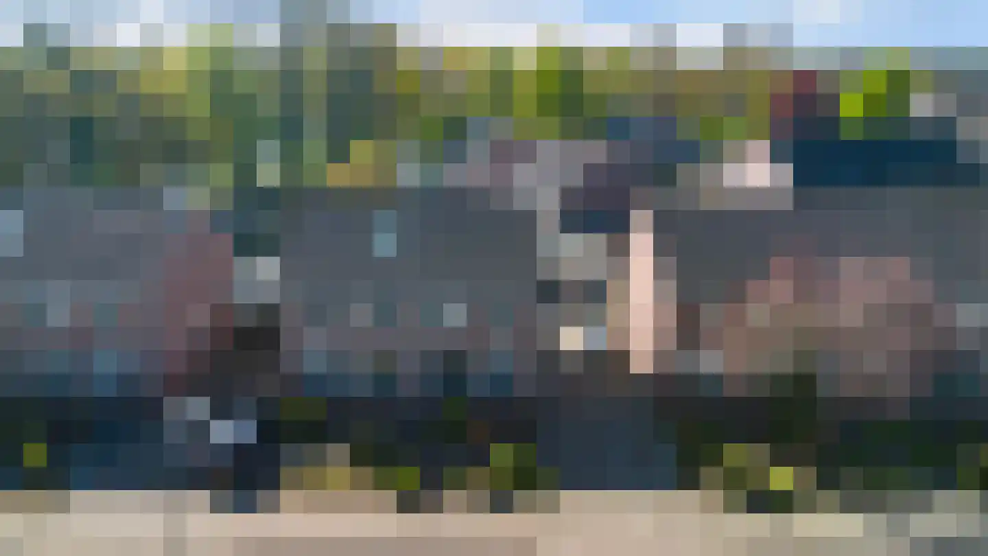 Doornbosch Hofstede 119 Eerbeek thumbnail 45