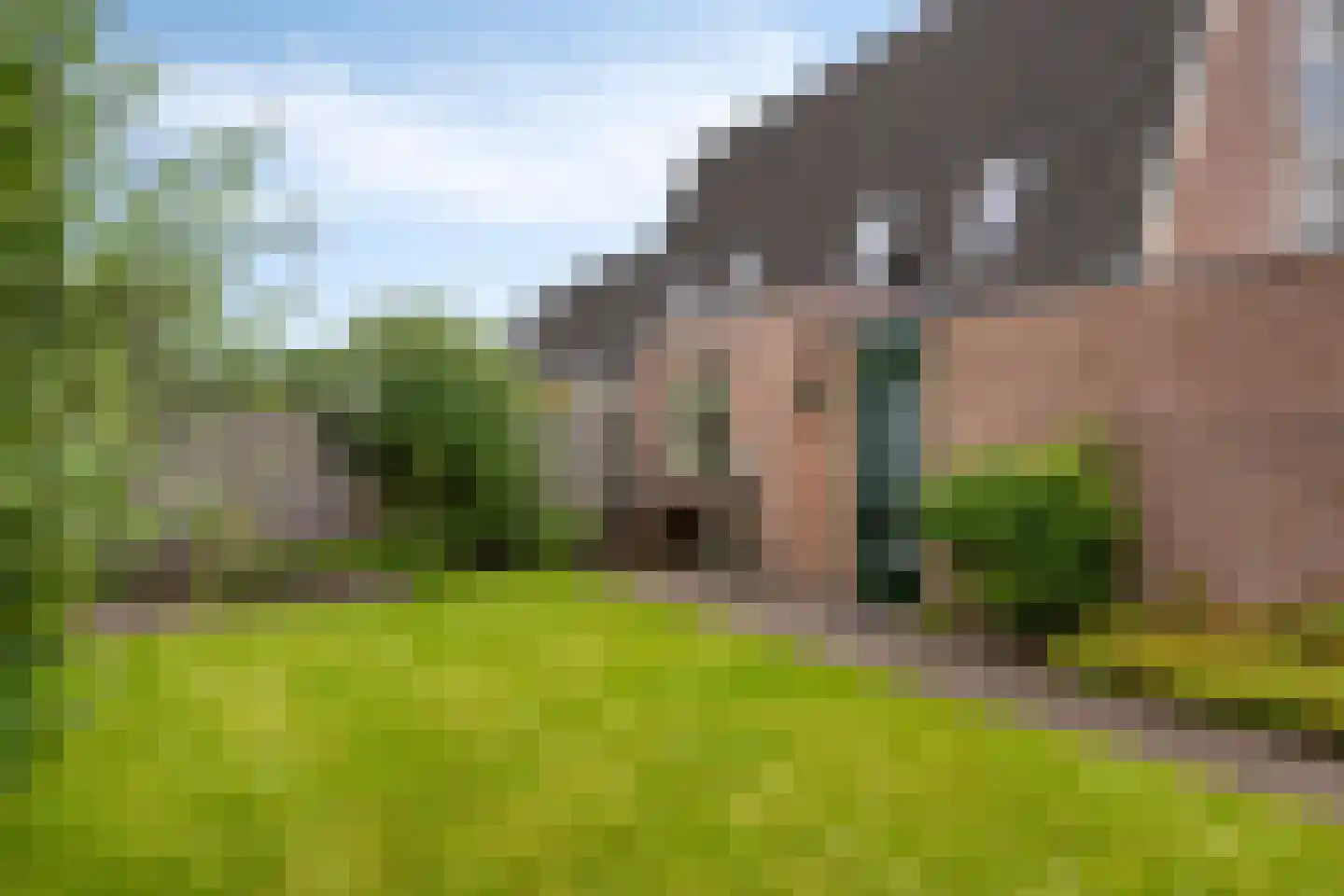 Doornbosch Hofstede 68 Eerbeek thumbnail 32