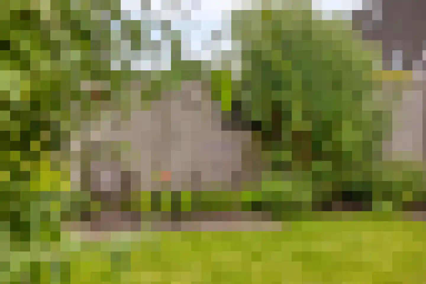 Doornbosch Hofstede 68 Eerbeek thumbnail 33