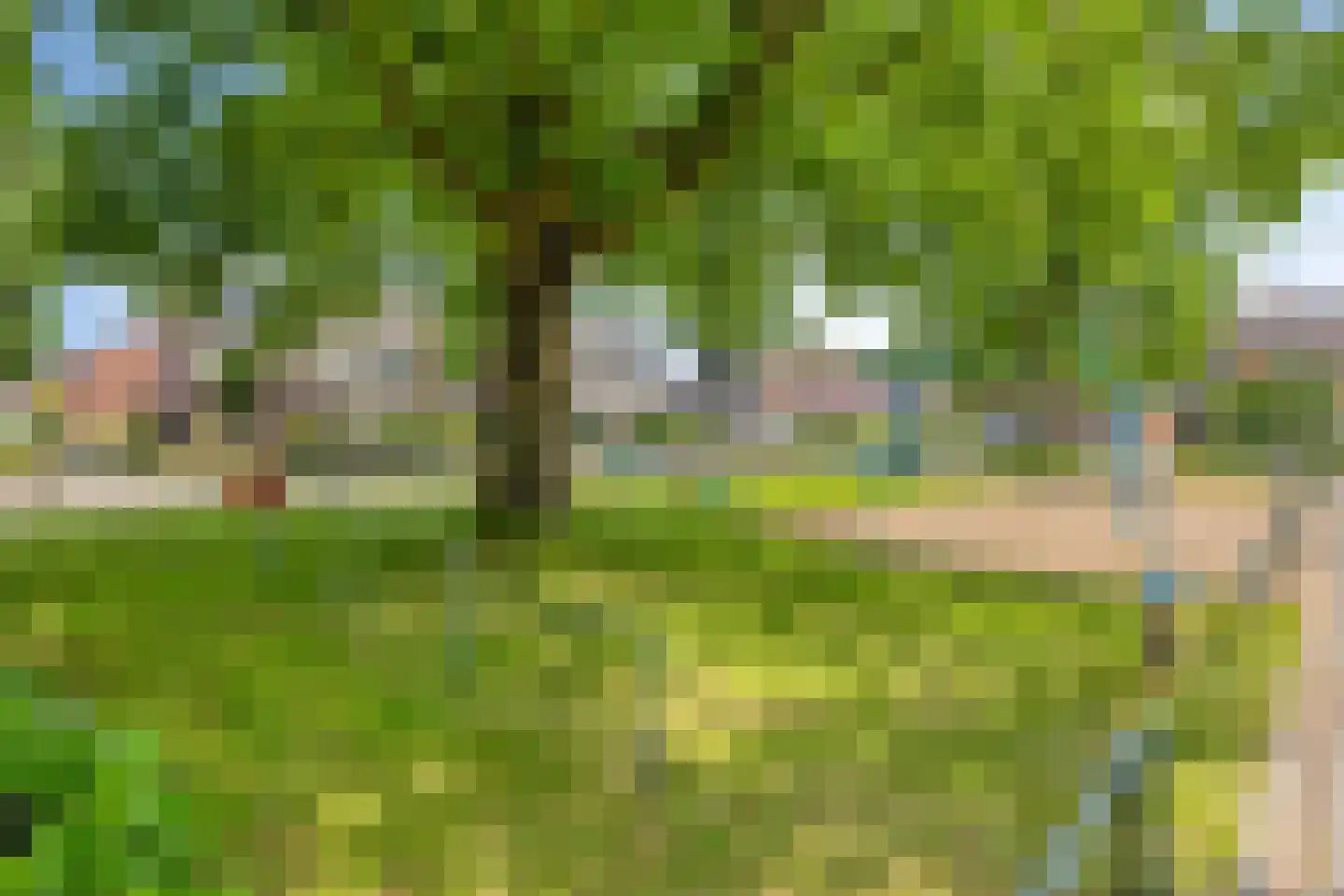 Doornbosch Hofstede 68 Eerbeek thumbnail 39