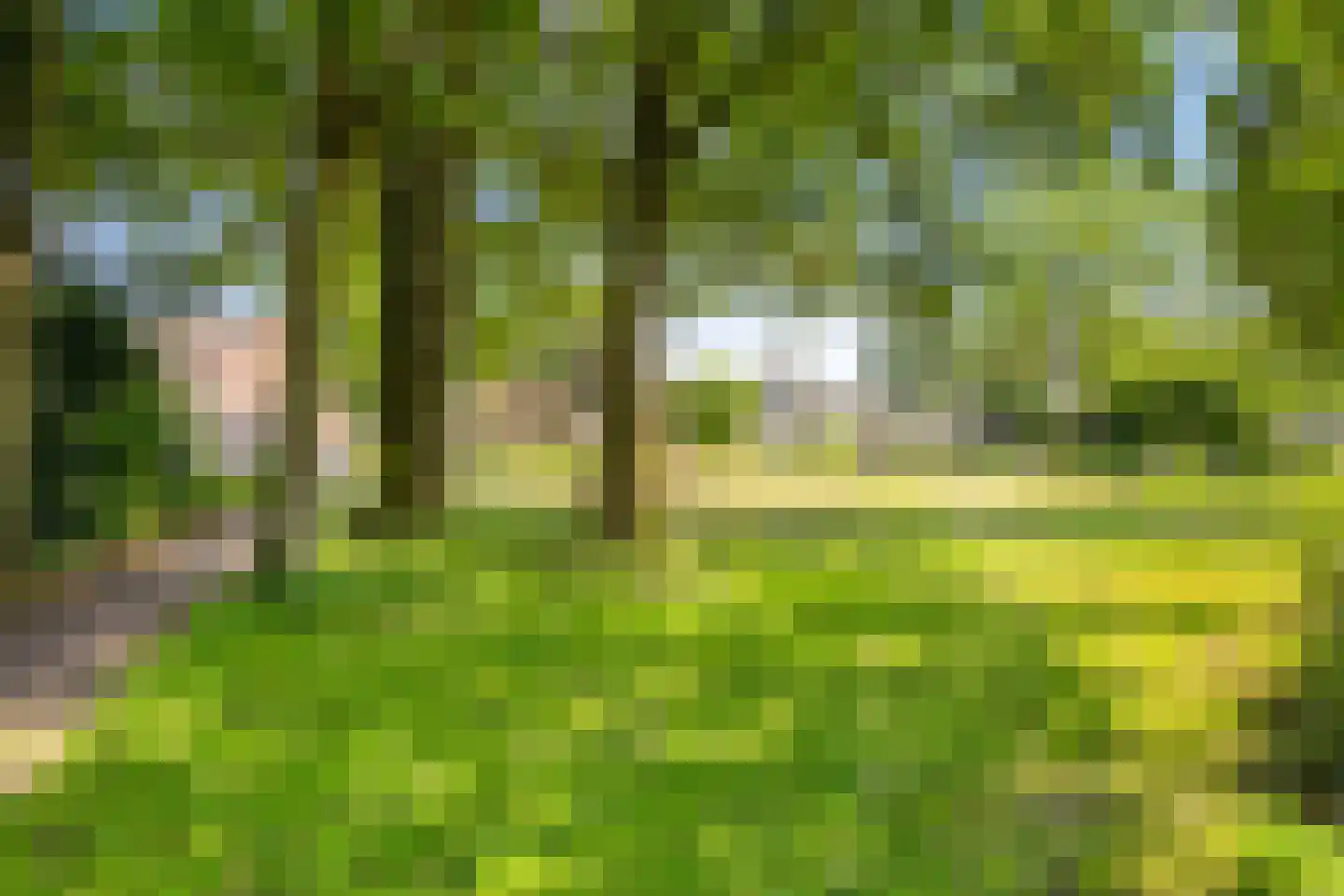 Doornbosch Hofstede 68 Eerbeek thumbnail 40