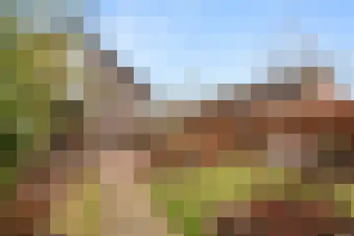 Doornboshoeve 2 Bennekom thumbnail 10