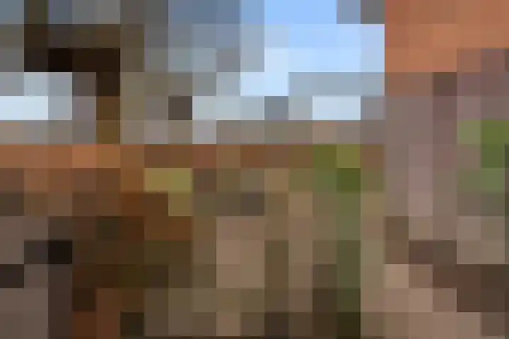 Doornboshoeve 2 Bennekom thumbnail 12
