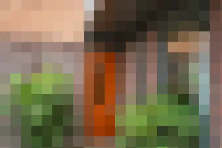 Doornboshoeve 2 Bennekom thumbnail 13