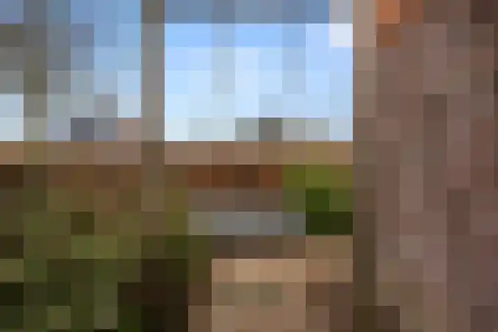 Doornboshoeve 2 Bennekom thumbnail 14