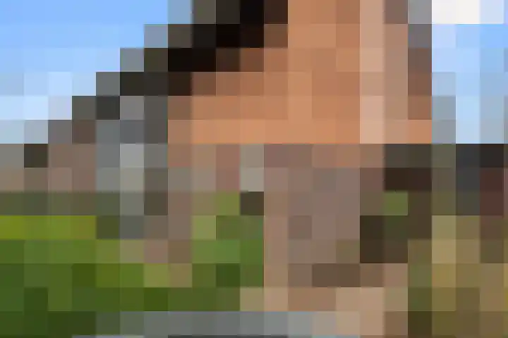 Doornboshoeve 2 Bennekom thumbnail 15