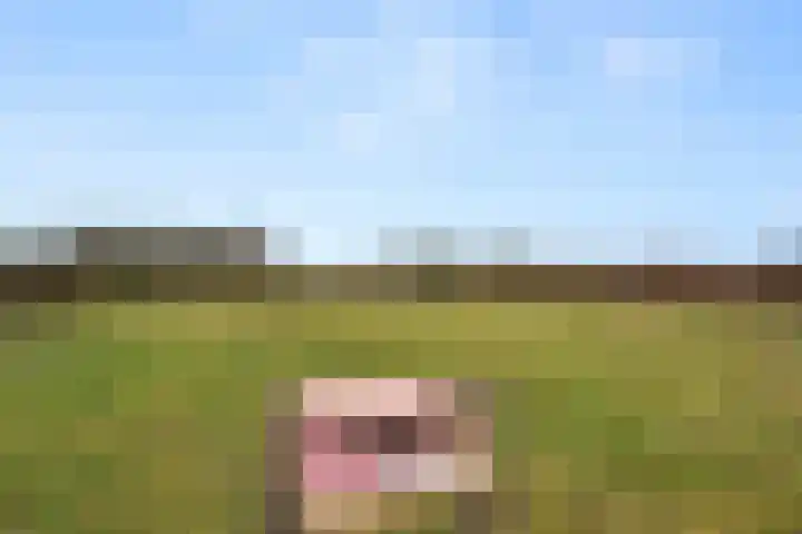 Doornboshoeve 2 Bennekom thumbnail 17
