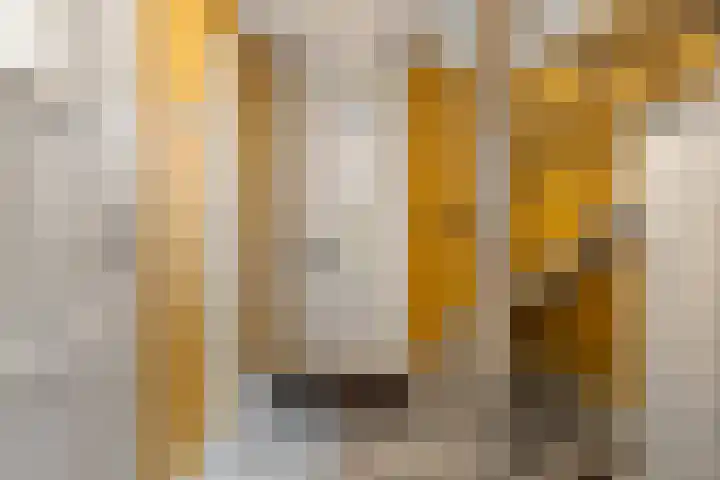 Doornboshoeve 2 Bennekom thumbnail 18